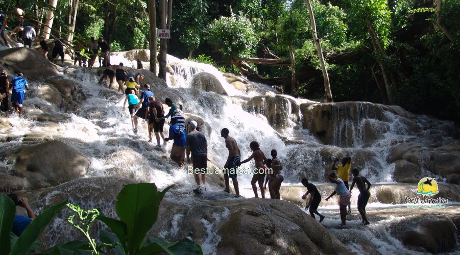 Jamaica excursions tours