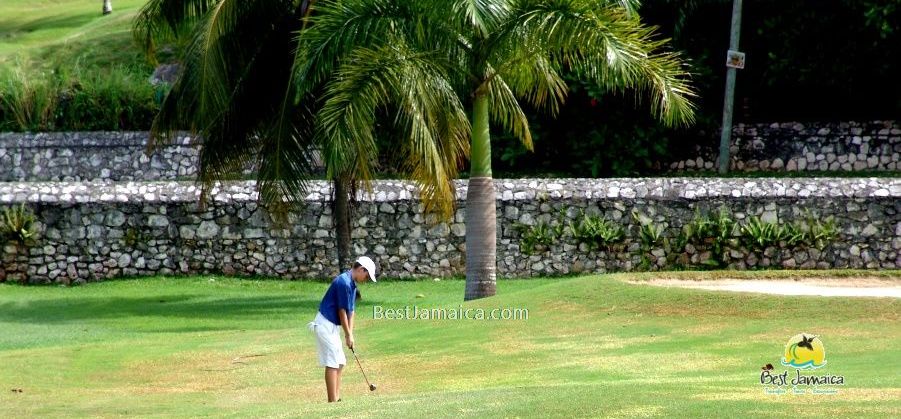 Jamaica Golf