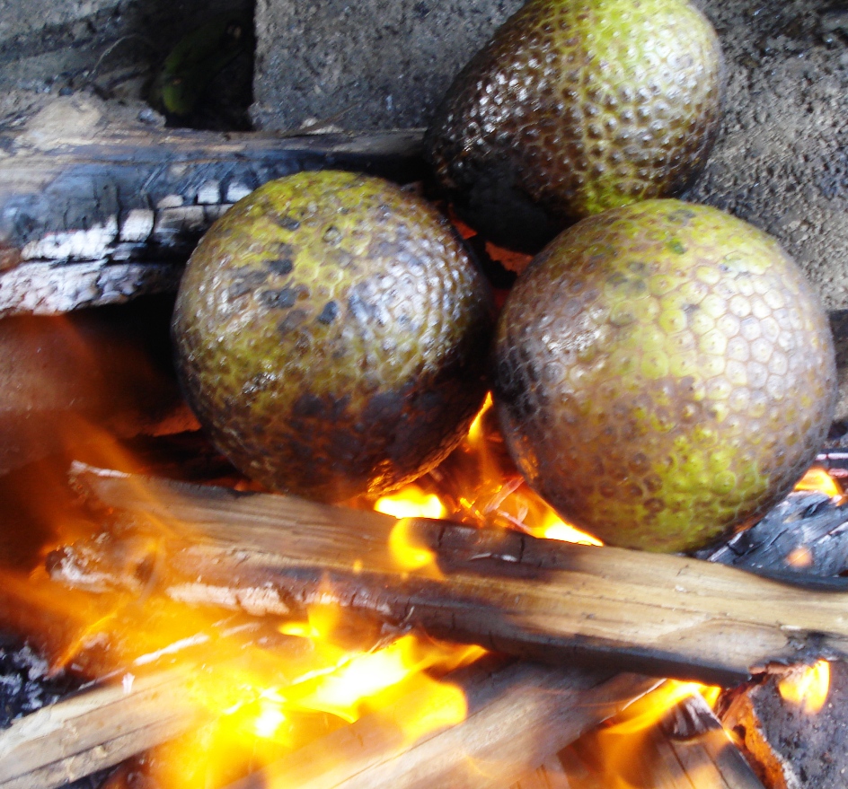 Breadfruit Roasting