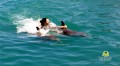 Dolphin Cove Jamaica 2